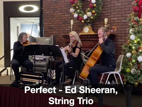Perfect Violin Viola Cello Trio