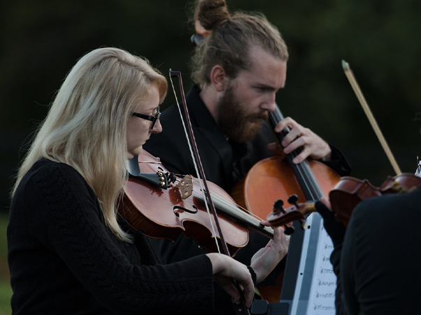 Musicians